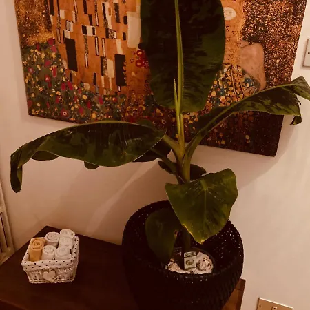 Il Ritiro Apartamento